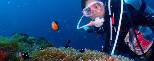 ダイビング体験・伊豆コース
