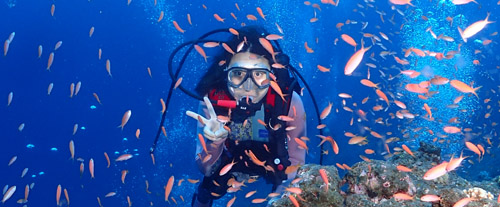 ダイビング体験・伊豆コース