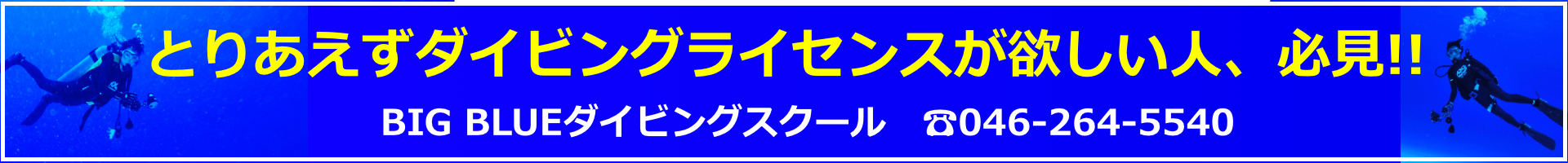 神奈川でダイビングライセンス格安・費用の案内