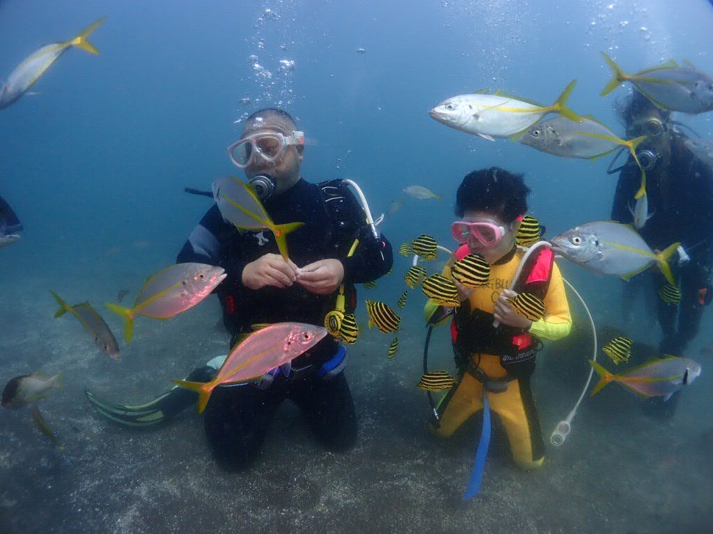 伊豆大瀬崎の澄んだ海の中でカラフルな魚たちと出会って大喜びする小学生の体験ダイビングの様子